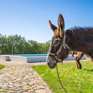 Burro By Host Wise Alojamento de Turismo Rural